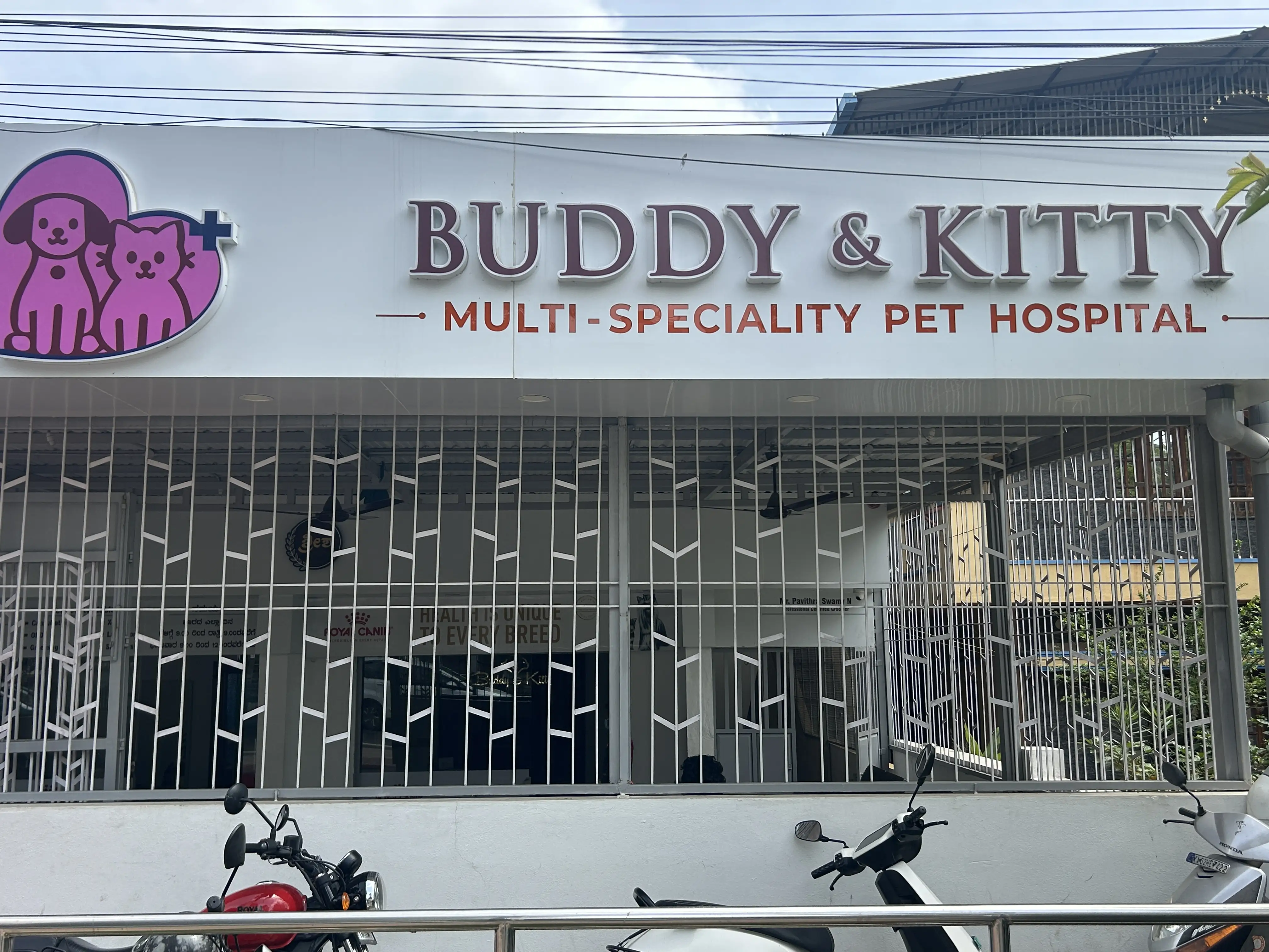 Buddy & Kitty – Multispeciality Pet Hospital and Grooming